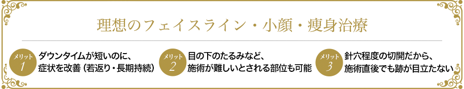 理想のフェイスライン・小顔・痩身治療