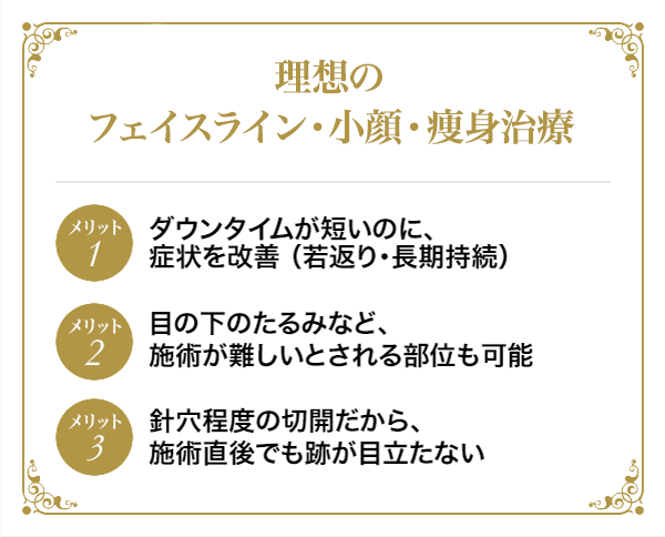 理想のフェイスライン・小顔・痩身治療