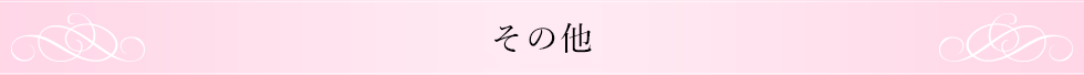 その他