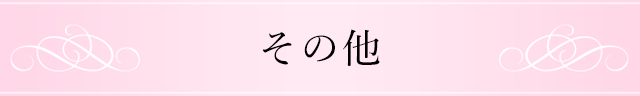 その他